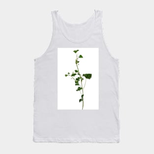 Ivy branch isolated on a white background Tank Top